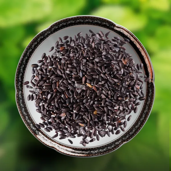 Green_Paradise_Lemon_Balm_Herbs_Seeds_Pack_Default_Title