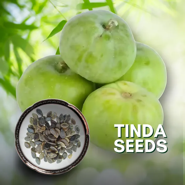 Green_Paradise_Tinda_Fruit_Indian_Round_Gourd_Seeds_Pack_Default_Title