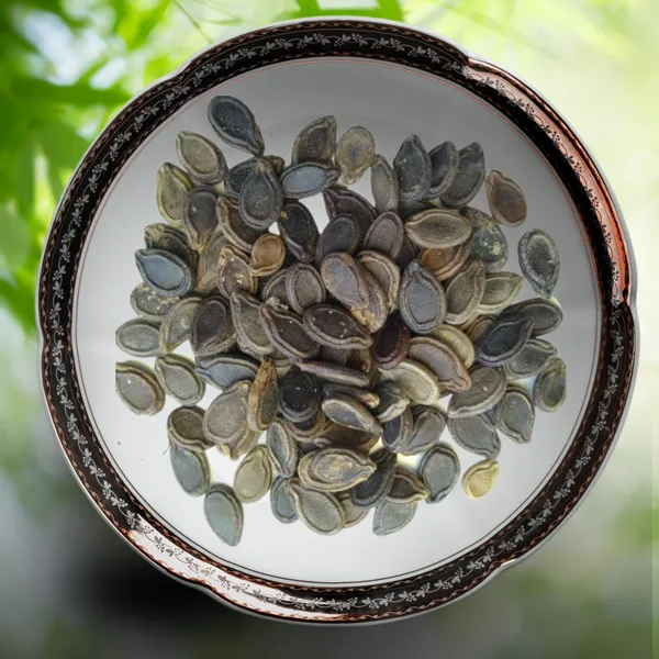 Green_Paradise_Tinda_Fruit_Indian_Round_Gourd_Seeds_Pack_Default_Title