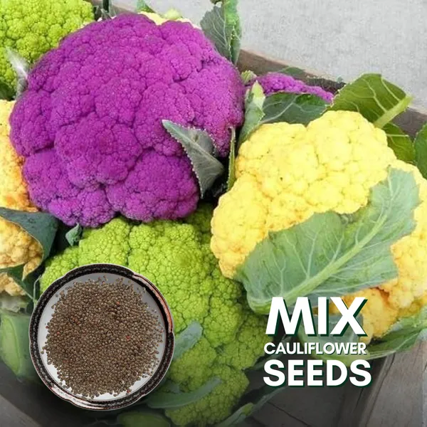 Green_Paradise_F1_Hybrid_Mix_Cauliflower_Seeds_Pack_Default_Title