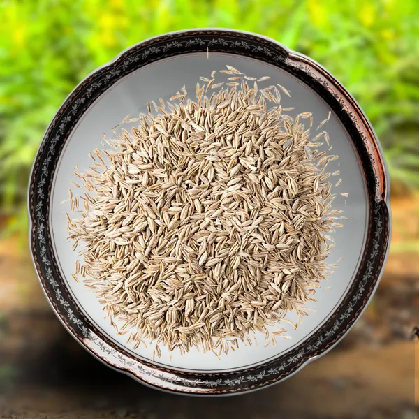 Green_Paradise_Lemon_Grass_Herbs_Seeds_Pack_Default_Title