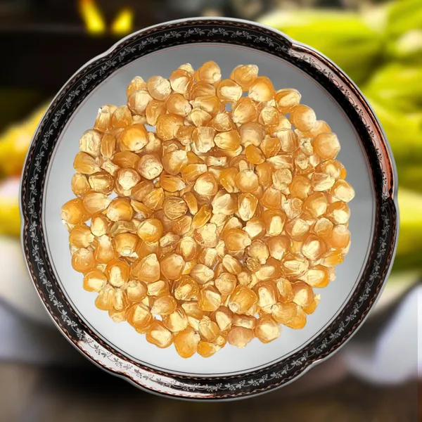 Green_Paradise_Sweat_Corn_F1_Hybrid_Seeds_Pack_Default_Title