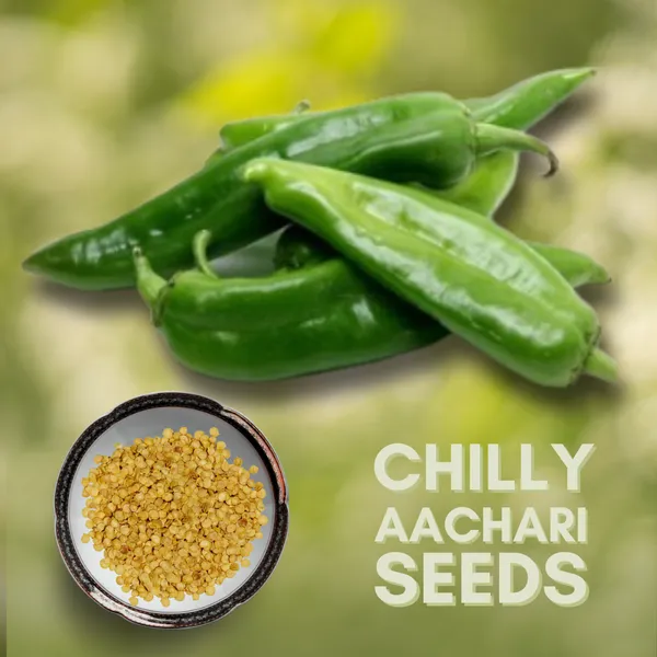 Green_Paradise_Chilly_Achari_F1_Hybrid_Seeds_Pack_Default_Title