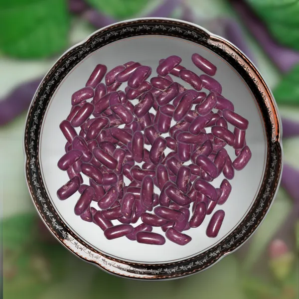 Green_Paradise_Purple_Beans_Seeds_Pack_Default_Title