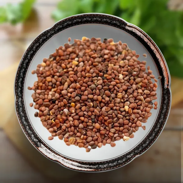 Green_Paradise_Radish_Half_Red_F1_Hybrid_Seeds_Pack_Default_Title