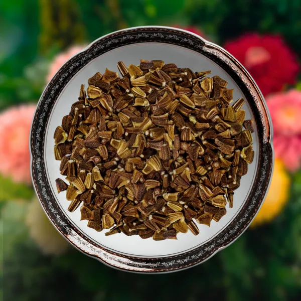 Green_Paradise_Chrysanthemum_Flower_Seeds_Pack_Default_Title