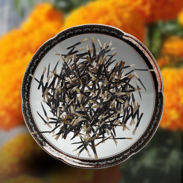 Green_Paradise_Marigold_Flower_Seeds_Pack_Default_Title