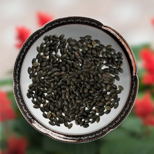 Green_Paradise_Red_Salvia_Flower_Seeds_Pack_Default_Title