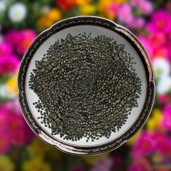 Green_Paradise_Portulaca_Hybrid_Seeds_Pack_Default_Title