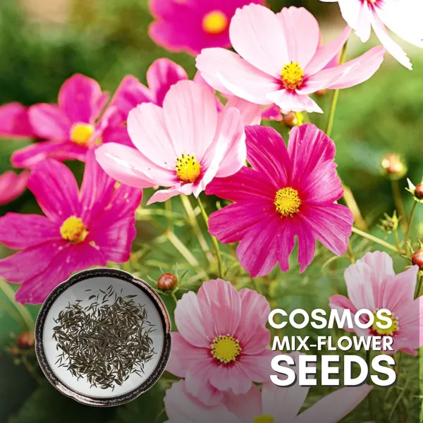 Green_Paradise_Cosmos_Mix_Flower_Seeds_Pack_Default_Title