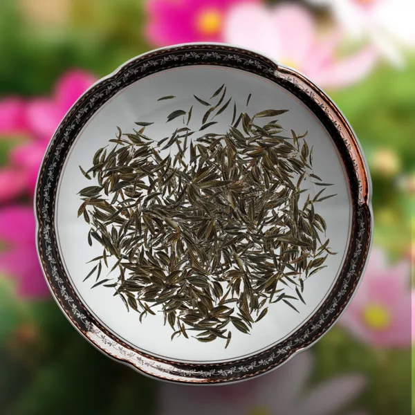 Green_Paradise_Cosmos_Mix_Flower_Seeds_Pack_Default_Title