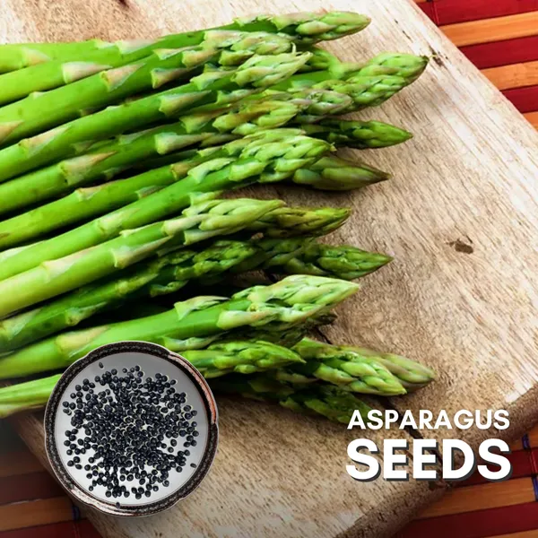 Green_Paradise_Asparagus_Imp_Seeds_Pack_Default_Title