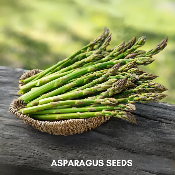 Green_Paradise_Asparagus_Imp_Seeds_Pack_Default_Title