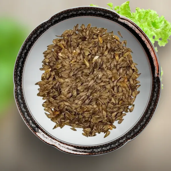 Green_Paradise_Lettuce_Green_Rapid_Seeds_Pack_Default_Title