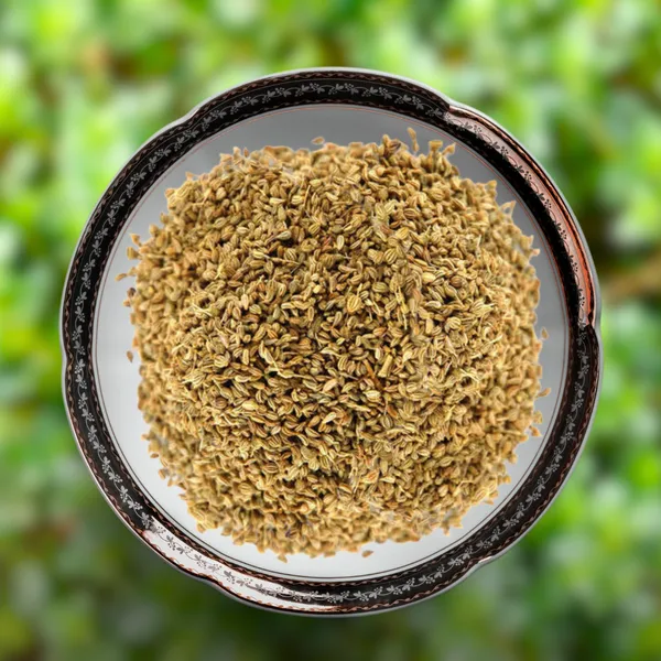 Green_Paradise_Thyme_Imp_Herbs_Seeds_Pack_Default_Title