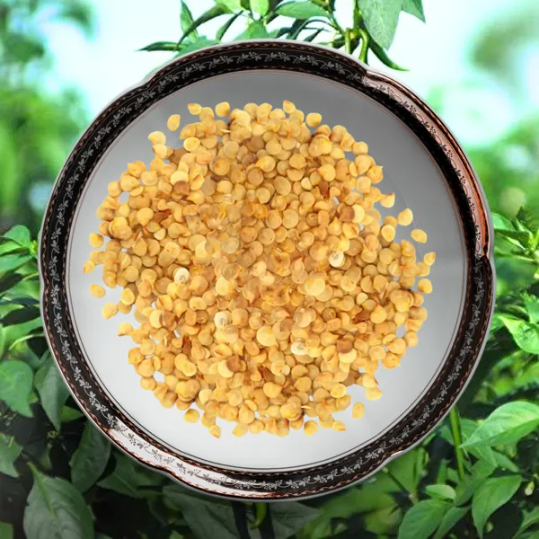 Green_Paradise_Chilly_F1_Hybrid_Seeds_Pack_Default_Title