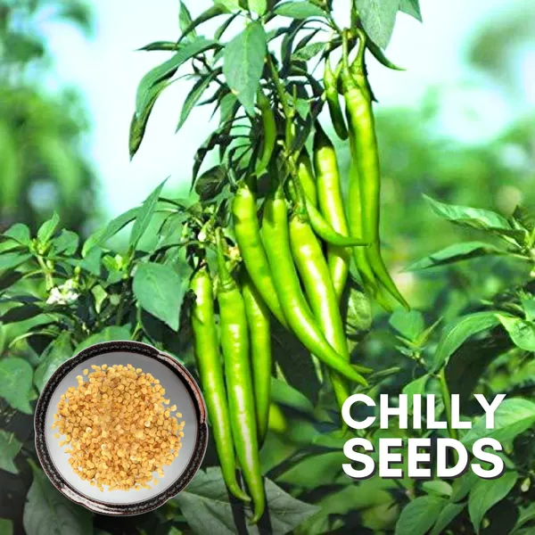 Green_Paradise_Chilly_F1_Hybrid_Seeds_Pack_Default_Title