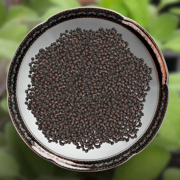 Green_Paradise_Imported_Sage_Seeds_Aromatic_Culinary_Herb_For_Garden_Pots_Default_Title