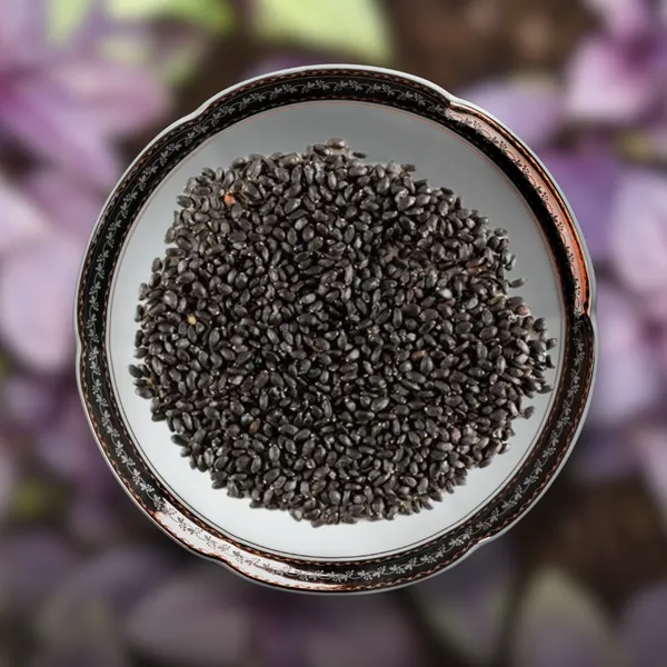 Green_Paradise_Basil_Seeds_Pack_Default_Title