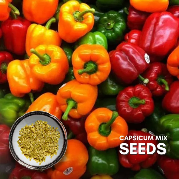 Green_Paradise_Capsicum_Mix_F1_Hybrid_Seeds_Pack_Default_Title