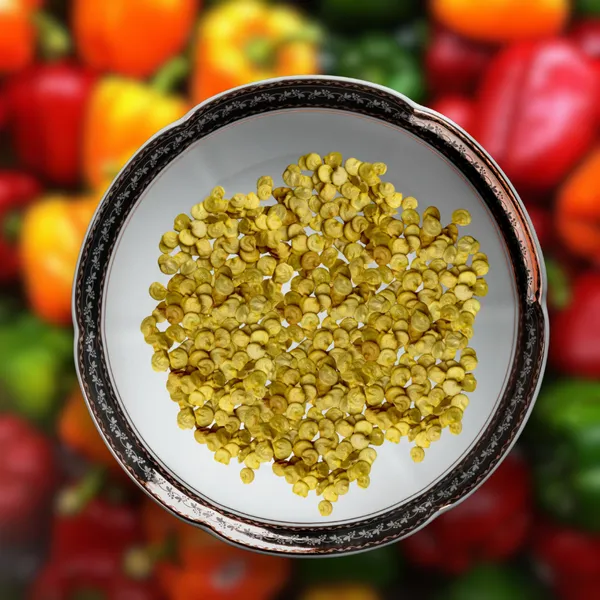Green_Paradise_Capsicum_Mix_F1_Hybrid_Seeds_Pack_Default_Title