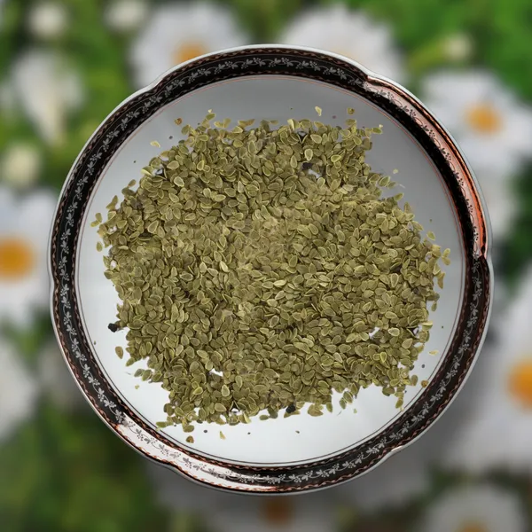 Green_Paradise_Daisy_Flowers_Imp_Seeds_Pack_Default_Title