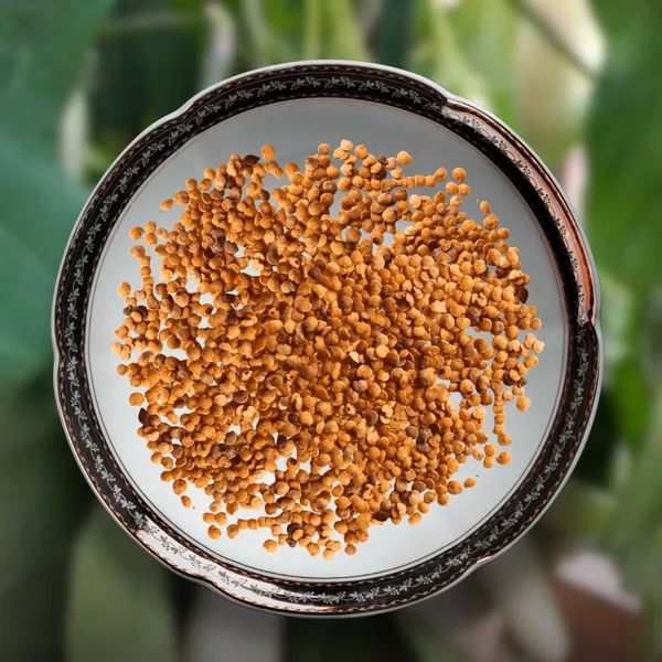 Green_Paradise_White_Long_Brinjal_F1_Hybrid_Seeds_Pack_Default_Title