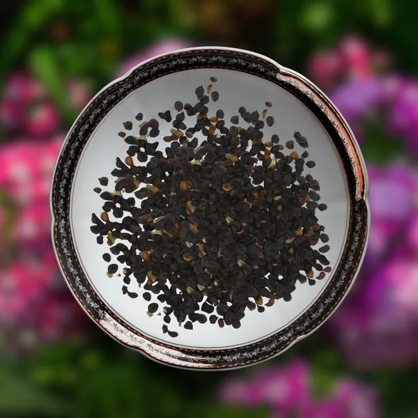 Green_Paradise_Dianthus_Flower_Improved_Seeds_Pack_Default_Title