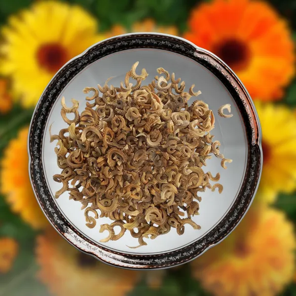 Green_Paradise_Calendula_Mix_Improved_Seeds_Pack_Default_Title