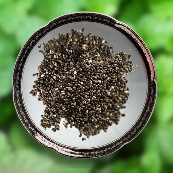 Green_Paradise_Mint_Imp_Herbs_Seeds_Pack_Default_Title