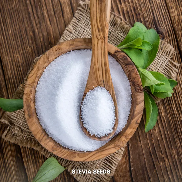 Green_Paradise_Stevia_Imp_Herbs_Seeds_Pack_Default_Title