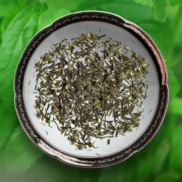 Green_Paradise_Stevia_Imp_Herbs_Seeds_Pack_Default_Title