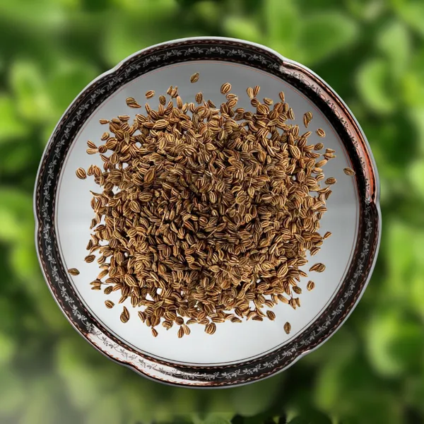 Green_Paradise_Oregano_Herbs_Seeds_Pack_Default_Title