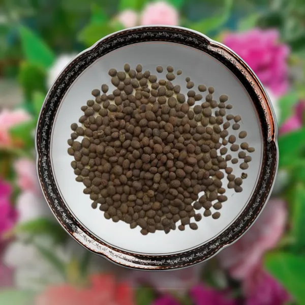 Green_Paradise_Balsam_Flower_Improved_Seeds_Pack_Default_Title