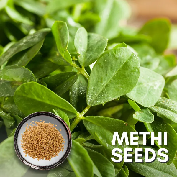 Green_Paradise_Methi_Seeds_Pack_Default_Title