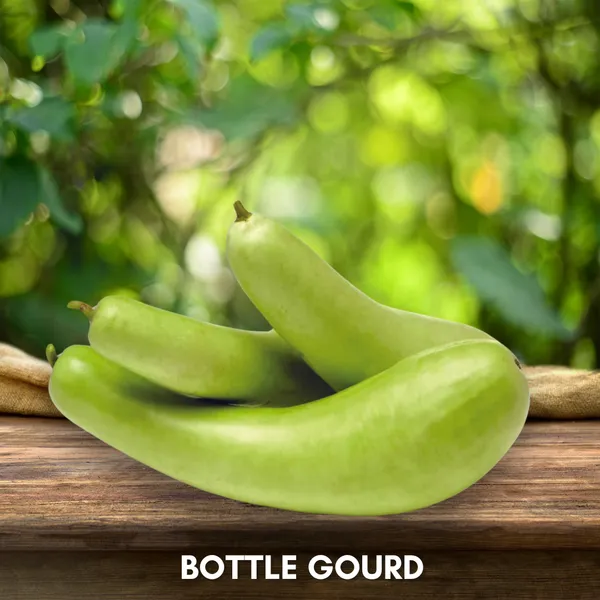 Green_Paradise_Bottle_Gourd_Dudhi_Seeds_Pack_Default_Title