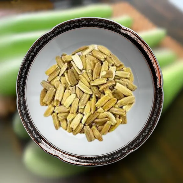 Green_Paradise_Bottle_Gourd_Dudhi_Seeds_Pack_Default_Title