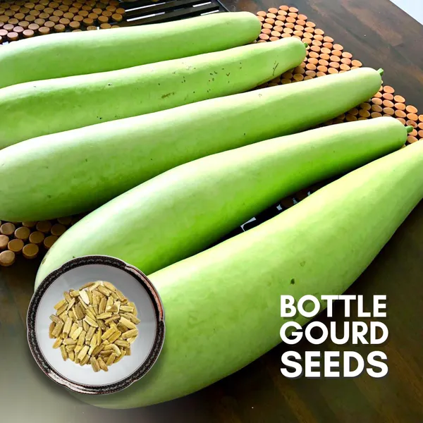 Green_Paradise_Bottle_Gourd_Dudhi_Seeds_Pack_Default_Title