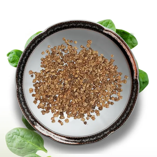 Green_Paradise_Spinach_Palak_Seeds_Pack_Default_Title