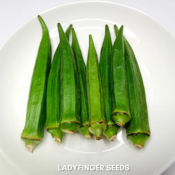 Green_Paradise_Ladyfinger_Bhindi_Seeds_Pack_Default_Title