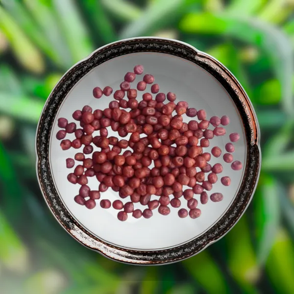 Green_Paradise_Ladyfinger_Bhindi_Seeds_Pack_Default_Title