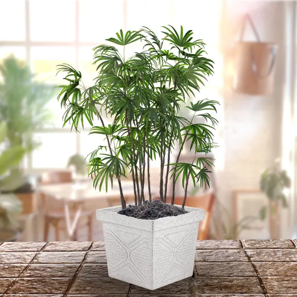 Green_Paradise_Squ16_Roto_Molded_High_Qaulity_Premium_Planter_Gray