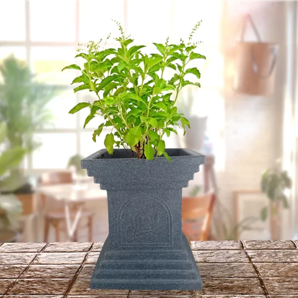 Green_Paradise_Temple_Base_Roto_Molded_Tulsi_High_Qaulity_Premium_Planter_Default_Title