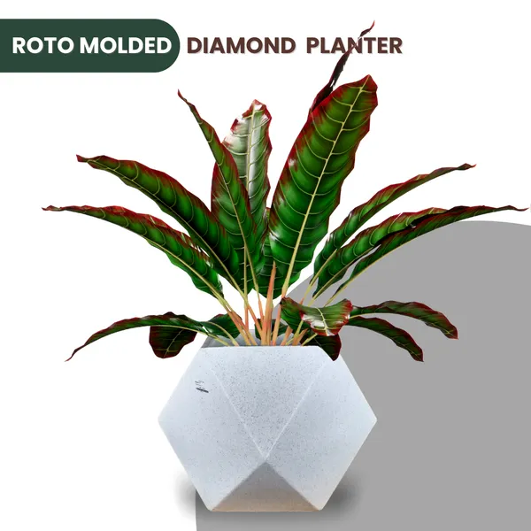 Green_Paradise_Diamond_Roto_Molded_High_Qaulity_Premium_Planter_Default_Title