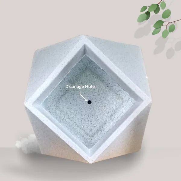 Green_Paradise_Diamond_Roto_Molded_High_Qaulity_Premium_Planter_Default_Title