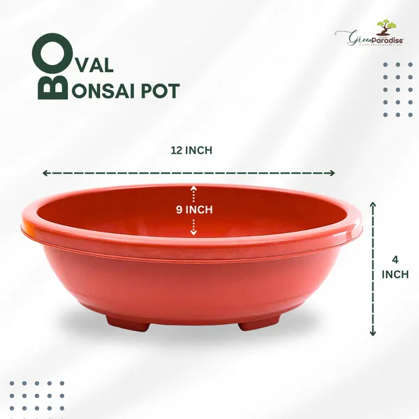 Green_Paradise_Oval_Bonsai_Pots_Premium_Plastic_Pot_Durable_Long_Lasting_Pot_Brown_Set_Of_2