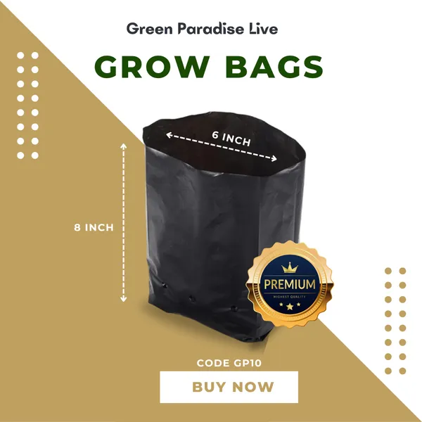 Green_Paradise_Growbags_Uv_Stabilized_For_Kitchen_Gardening_Hi_Quality_Poly_Bags_6_X_8_Inches_Set_Of_10