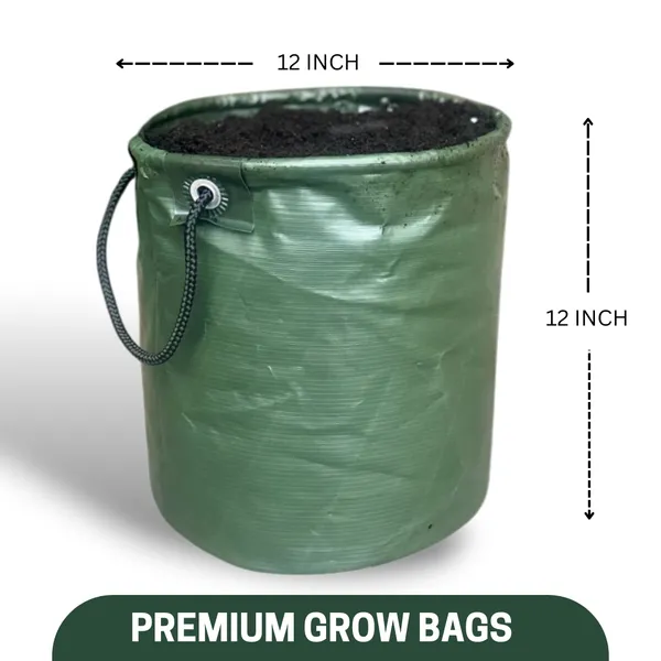 Green_Paradise_Premium_Quality_Grow_Bags_Durable_Eco_Friendly_Plant_Containers_With_Handles_Size_12x12_Inch