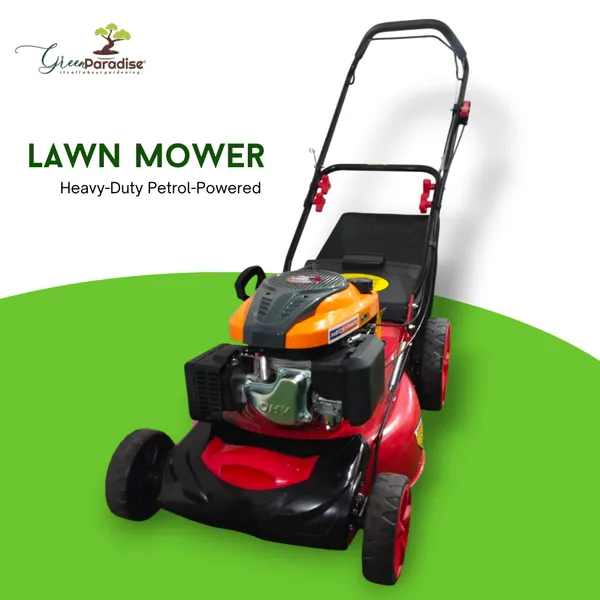 Green_Paradise_4_Stroke_196cc_Heavy_Duty_Push_Type_Lawn_Mower_20_Default_Title