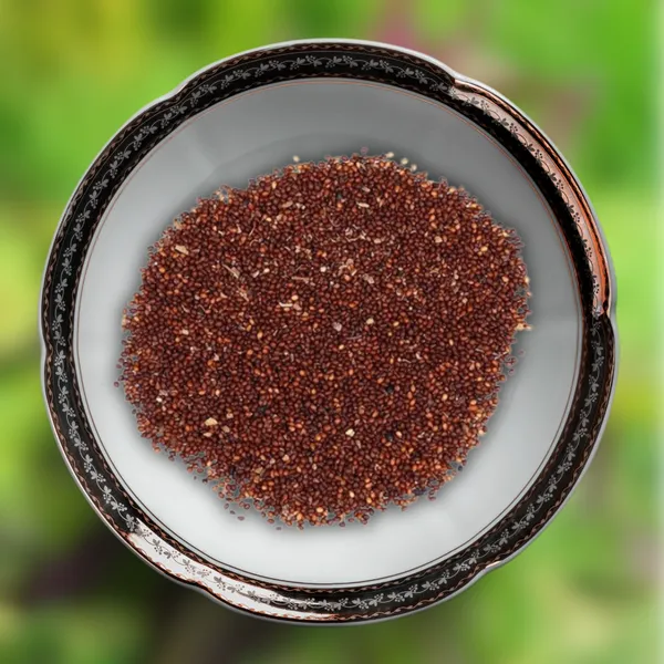 Green_Paradise_Shyam_Tulsi_Seeds_Holy_Basil_For_Health_Pooja_Home_Gardening_High_Germination_Non_Gmo_Default_Title